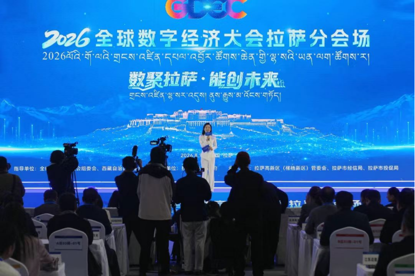 健成星云亮相2026全球数字经济大会拉萨高层论坛,AI心理服务引关注